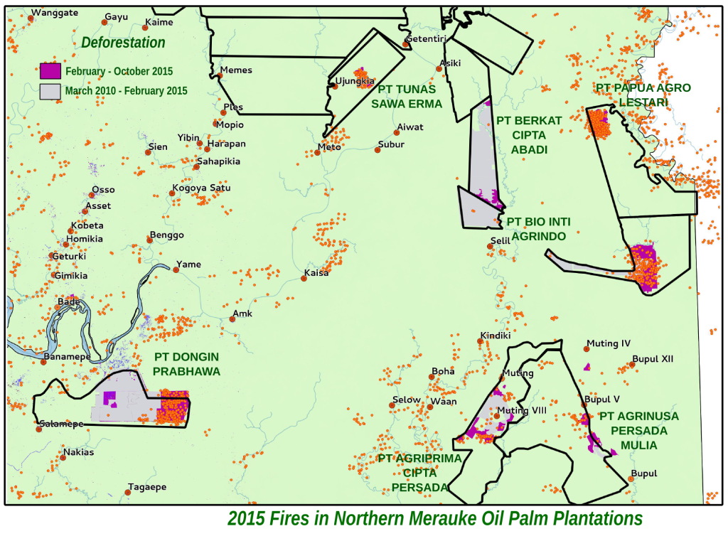 Merauke Plantation Fires 2015